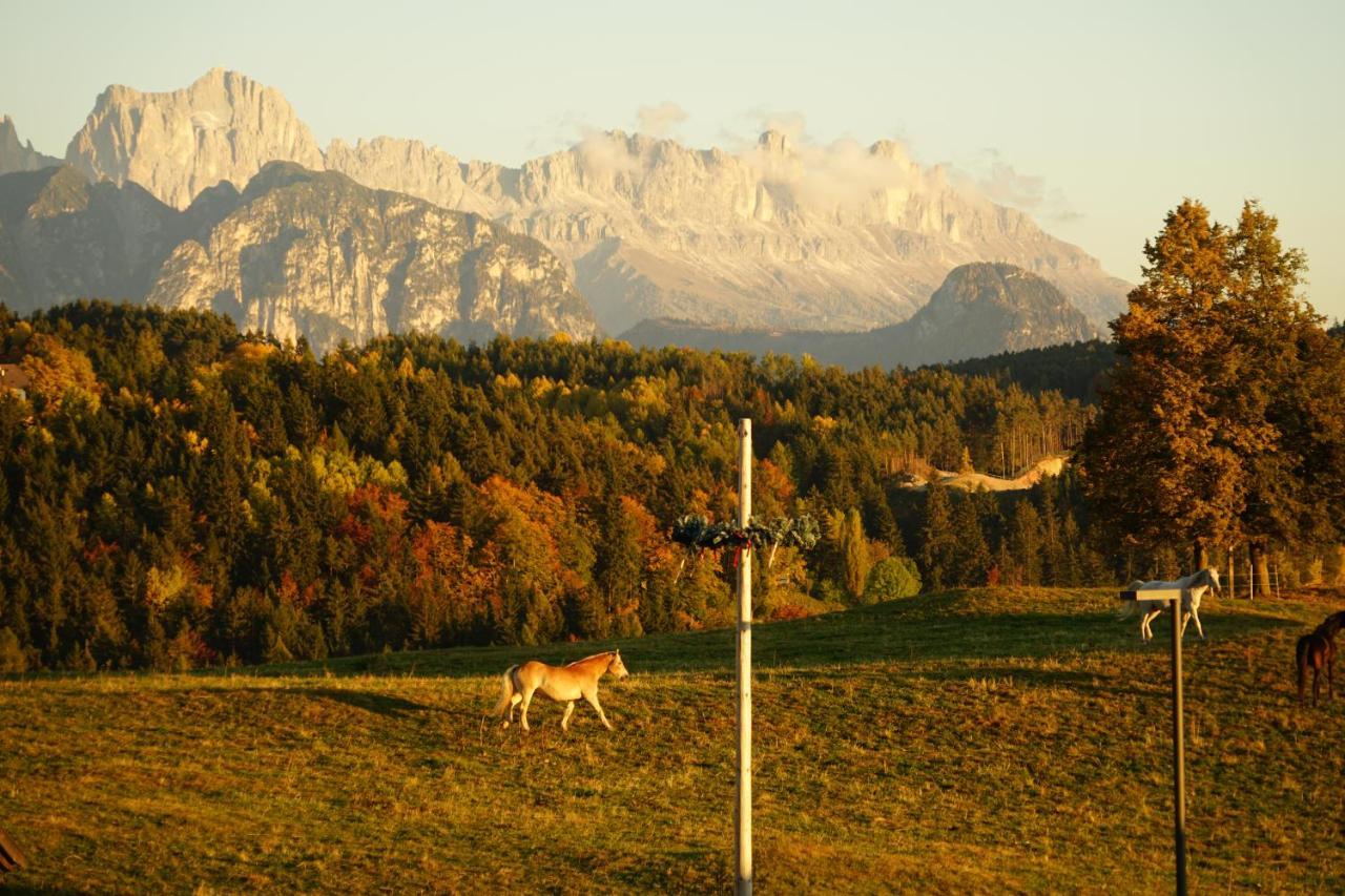 Hotel Gasthof Mesnerwirt à Auna di Sopra Extérieur photo